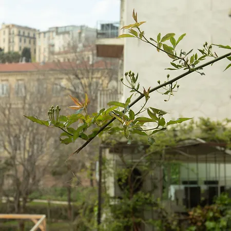 Louis Provincia di Istanbul